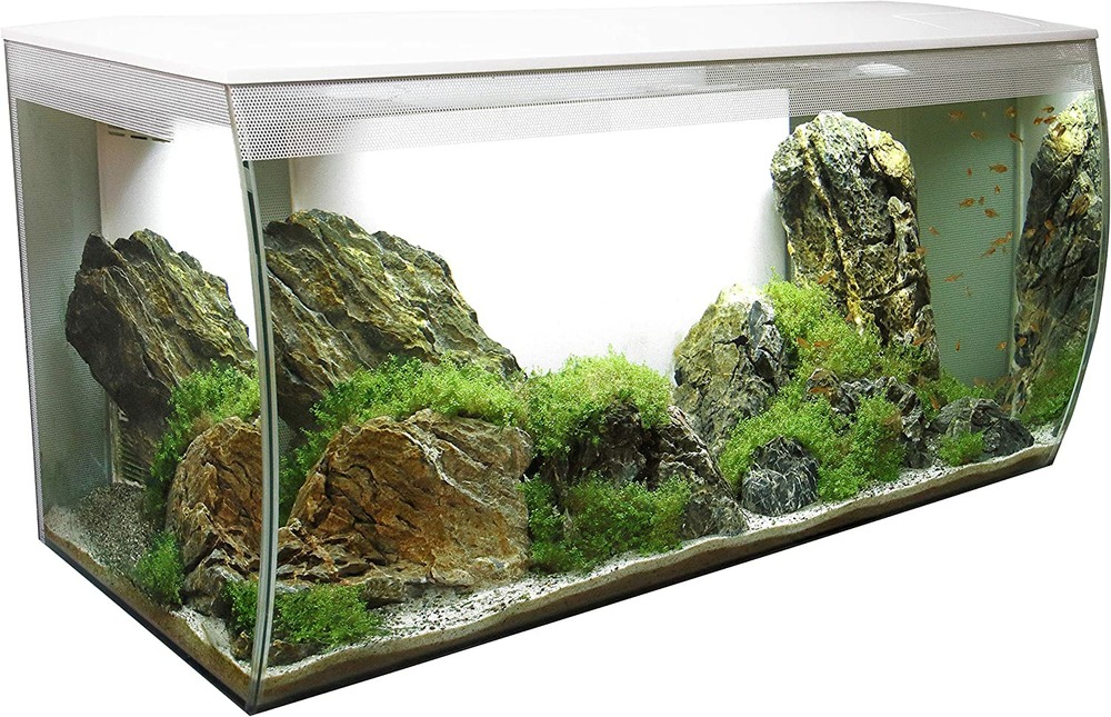 Aquarium d'eau douce blanc flex 123l