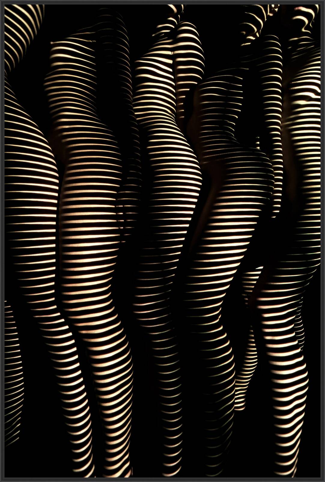 Women Of Light by Dani Olivier - Limited Edition. Edition of: 150. Signed.
