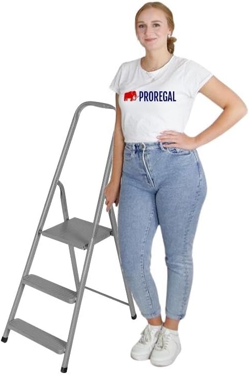 PROREGAL Economy Basic Trapladder, Gemaakt van Hoogwaardig Staal, Enkelzijdig Opstapbaar, 3 Treden, Werkhoogte 2,57 m, Draagvermogen 125 kg, Antraciet