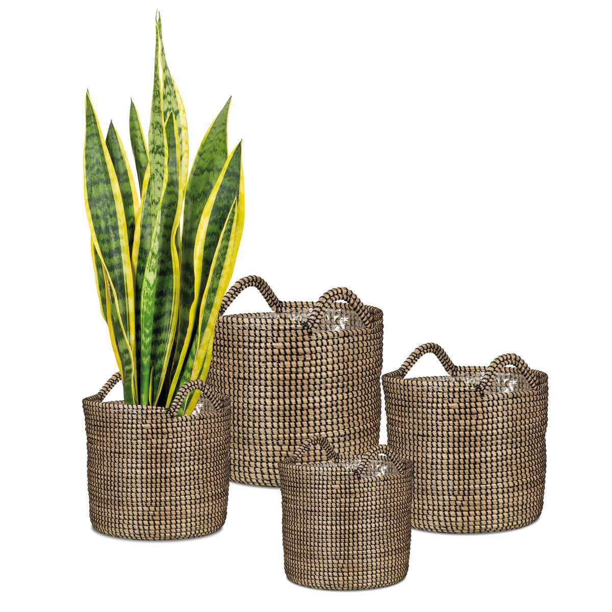 Scheurich Seagrass 22, plantenbak/mandpot met handgrepen van zeegras, kleur: zwart, diameter 22 cm, hoogte 19,5 cm, inhoud 7,5 l.