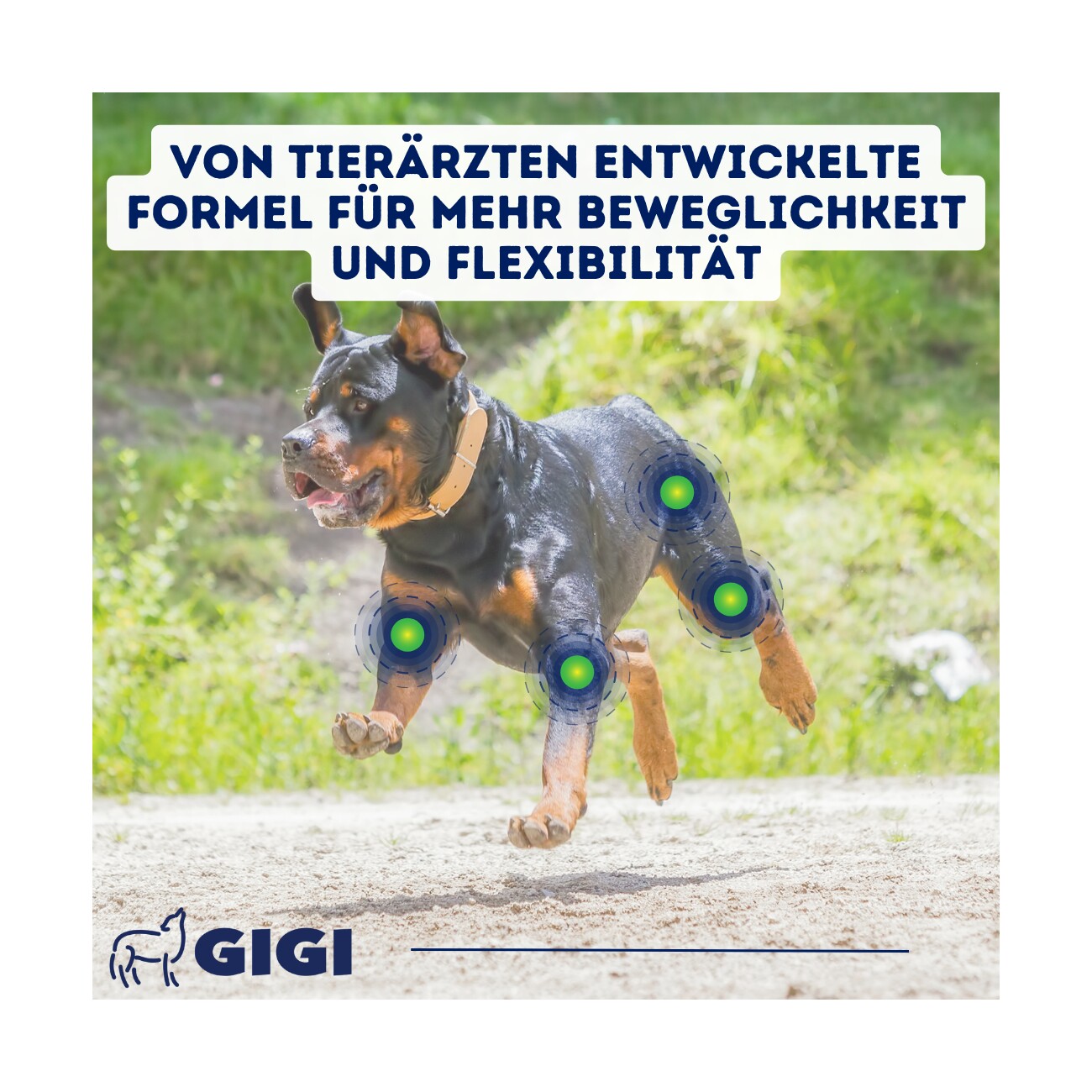 GIGI VET Aktive Hunde Gelenke & Knochen 90 Stück