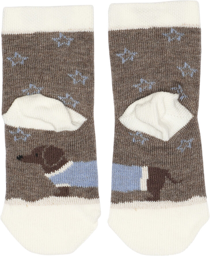 Melton Dachshund socks Denver melange