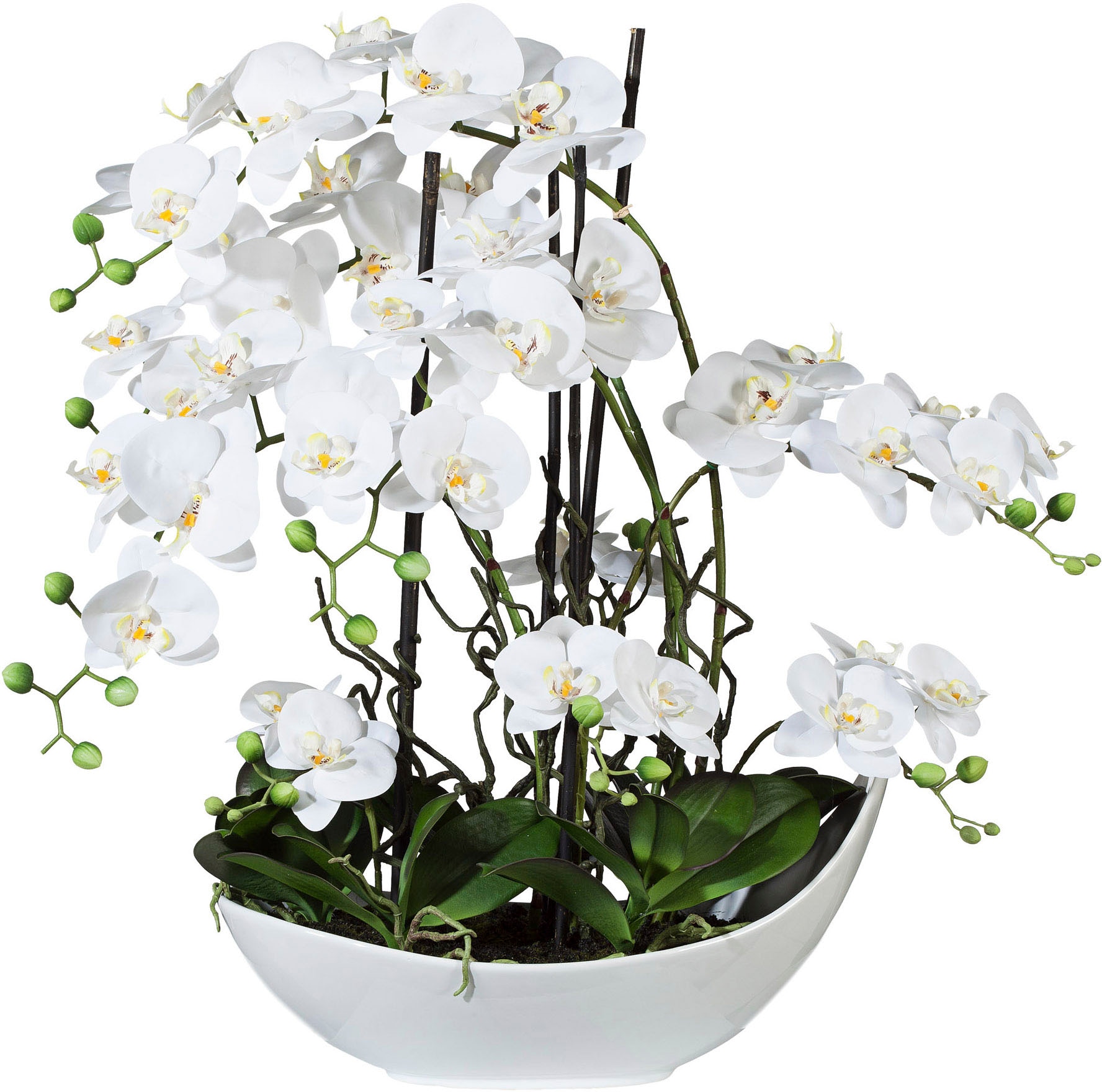 Creativ green Kunstorchidee »Phalaenopsisarrangement, 68cm weiss« in Keramikschale