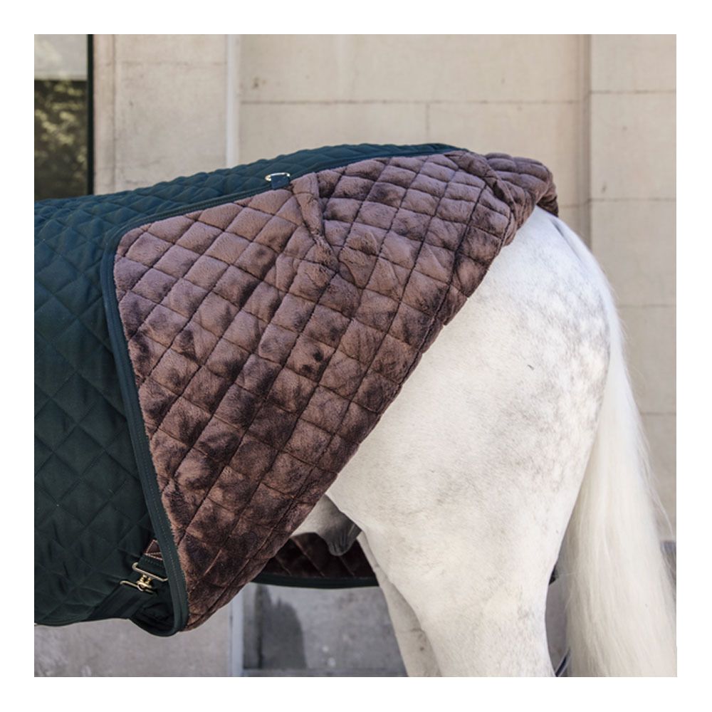 Kentucky 52102 400G - Couverture de box dark green