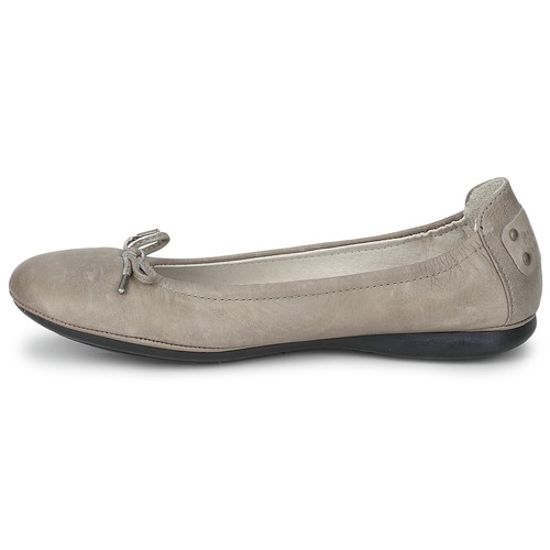 PLDM by Palladium - MOMBASA CASH Gris
