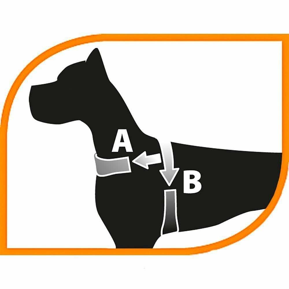 Harnais pour chien grande taille réfléchissant daytona deluxe extra large, rembourré, marron-noir