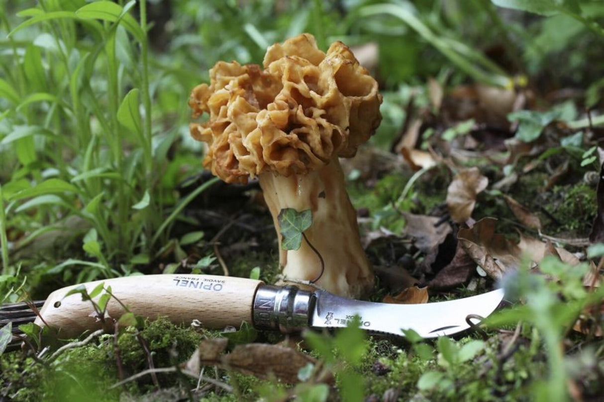 Opinel<br>N°08 Mushroom