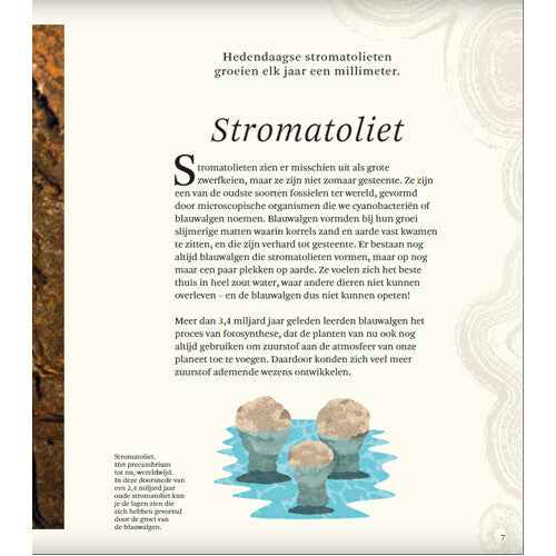 Uitgeverij lannoo het dikke boek van alle bijzondere dino's