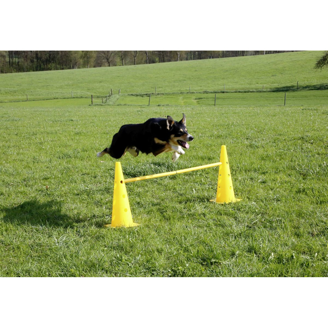 Hundespielzeug - Agility - Pylonen-Hürden Set