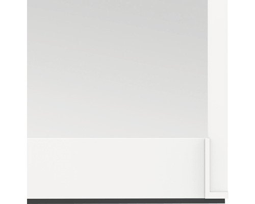 Insectenhor Windhager EXPERT kozijndeur wit 100x210 cm