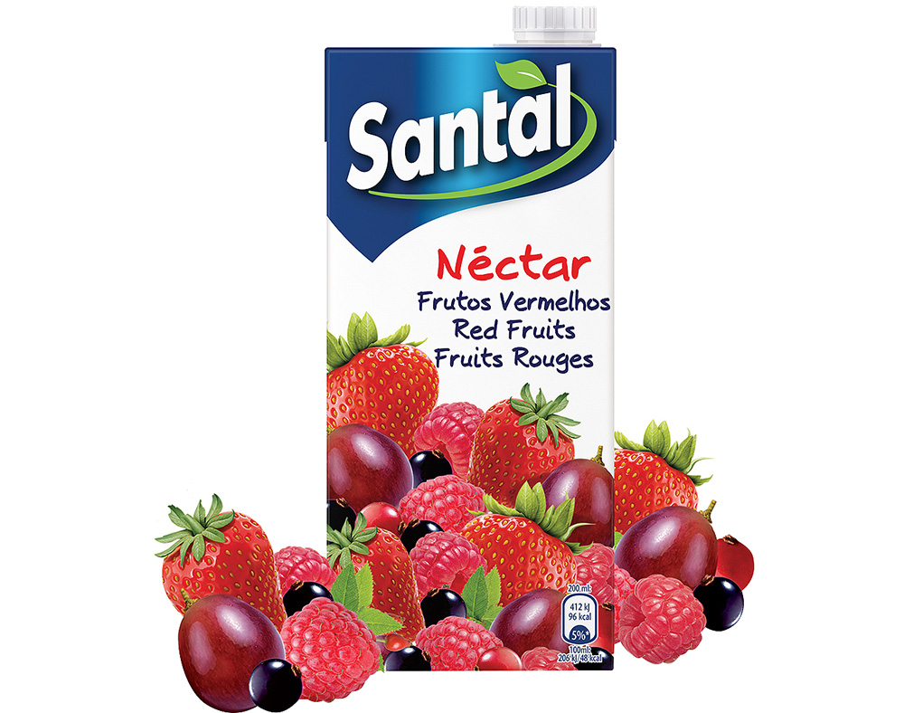NÉCTAR SANTAL FRUTOS VERMELHOS 1L