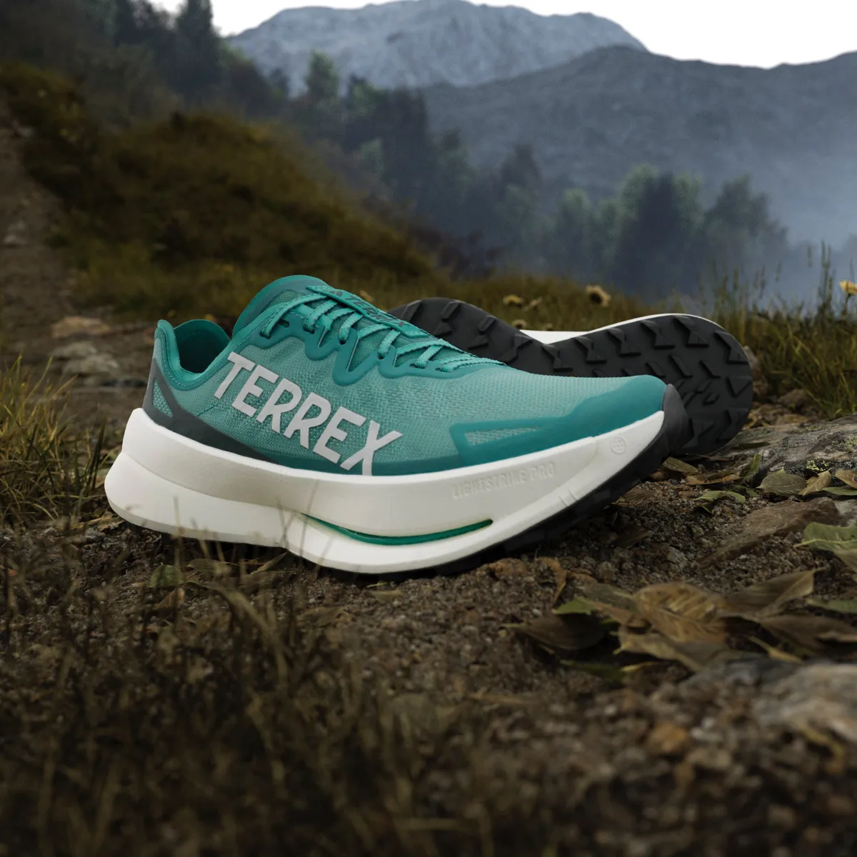 Adidas Men's Terrex Agravic Speed Ultra Purtea/greone/aurivy