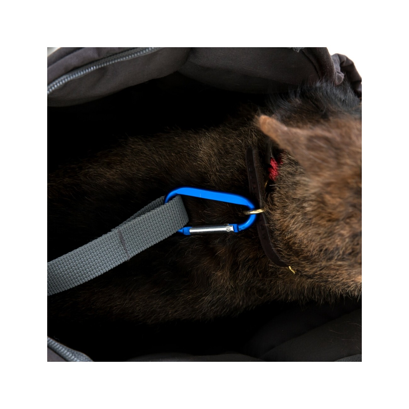Doctor Bark Hundetragetasche grau S
