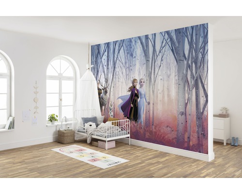 Fotobehangpapier SD4102 Disney Edition 4 Disney Frozen Friends Forever 8-delige set 368 x 254 cm