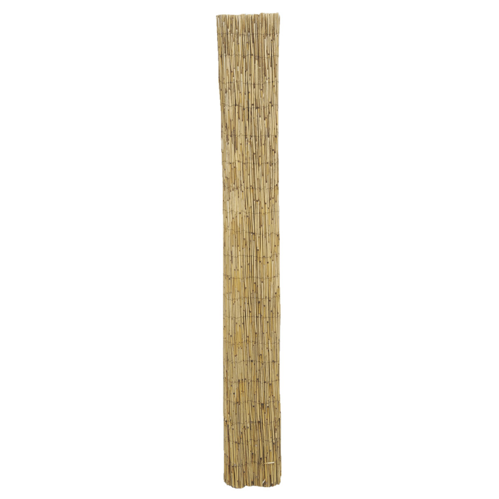 Canisse en roseau 2 x 5 m