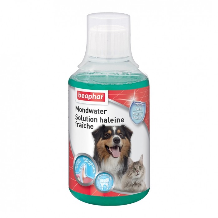 Buccafresh Solution