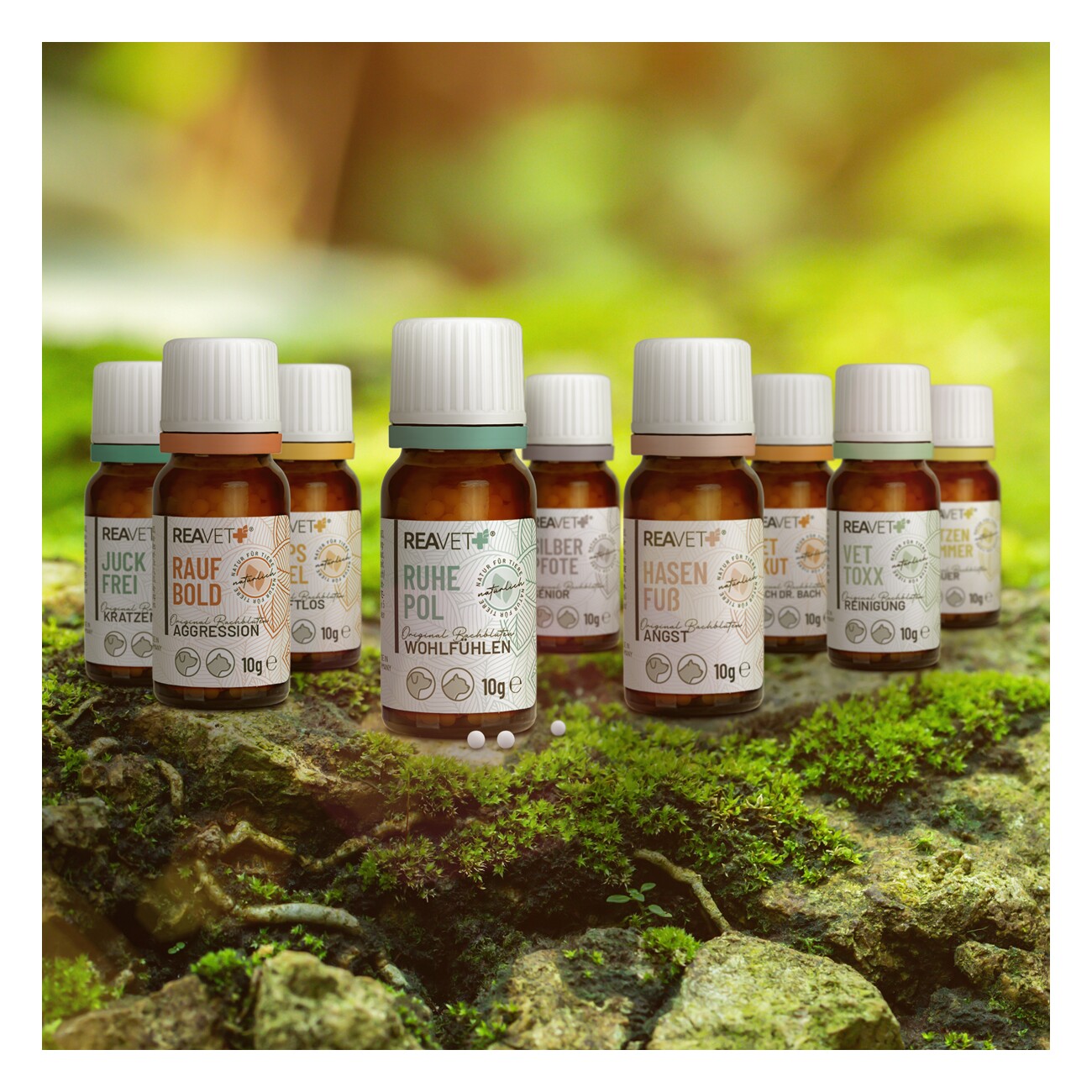 REAVET Bachblüten Globuli - Mopsfidel 10g