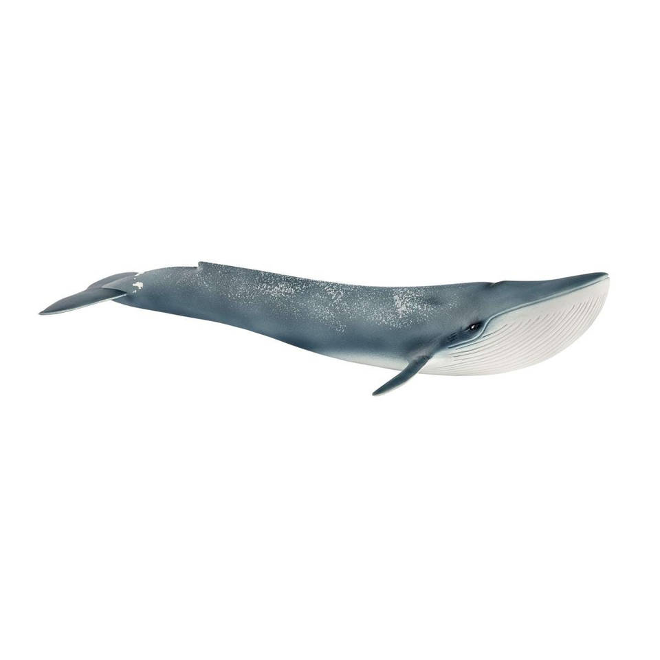 schleich WILD LIFE blauwe vinvis 14806
