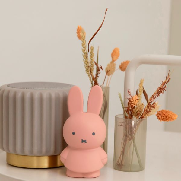 Atelier Pierre Nijntje Mini Spaarpot Terra