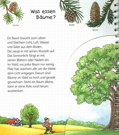Der Wald / Wieso? Weshalb? Warum? Junior Bd.6