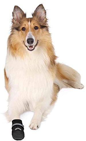 Botas de proteção TRIXIE Walker Care Comfort para cães