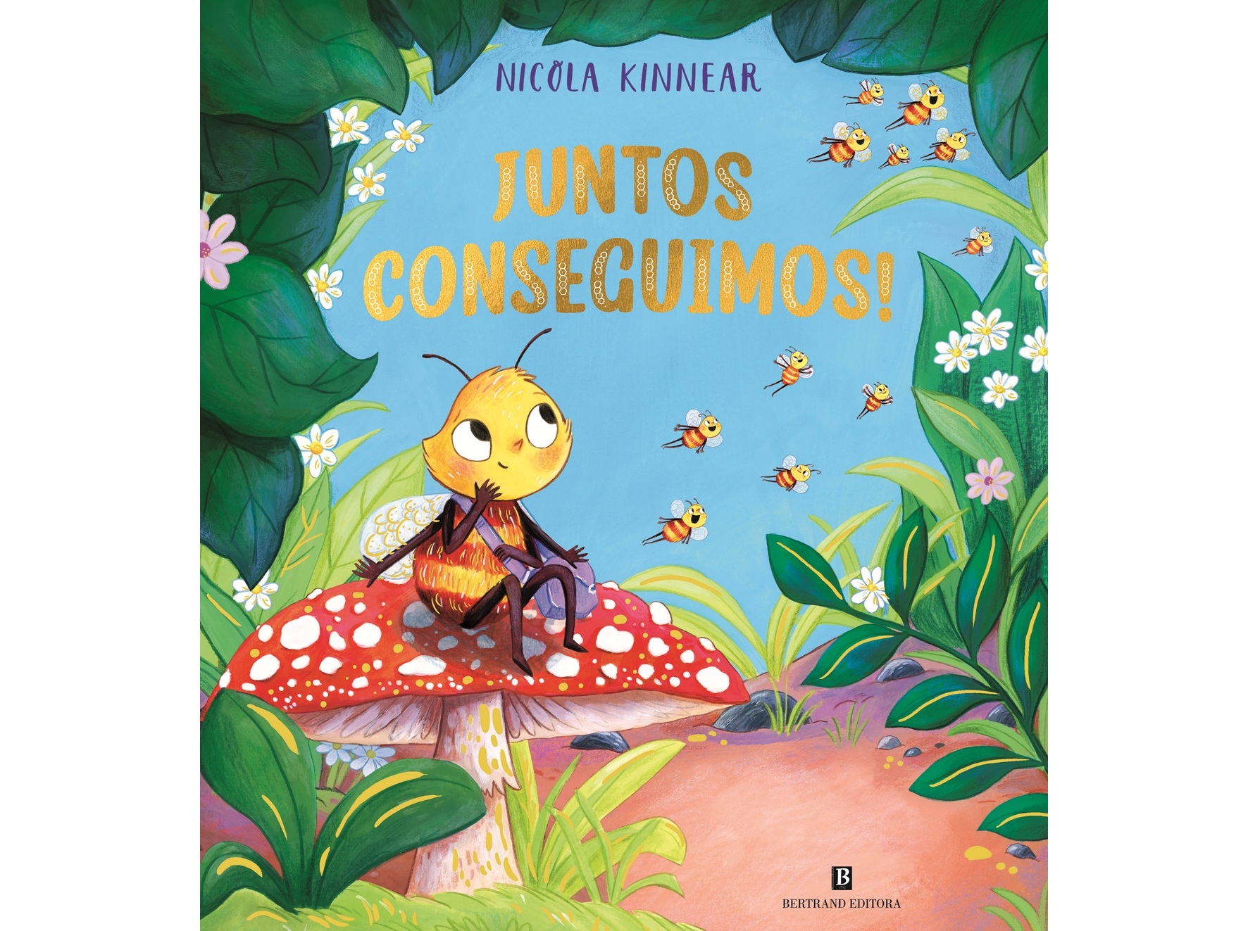 LIVRO JUNTOS CONSEGUIMOS! DE NICOLA KINNEAR