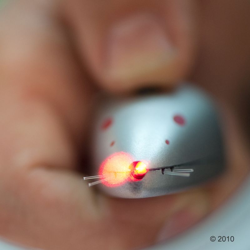 Lot circuit Catit et laser Catch the Light