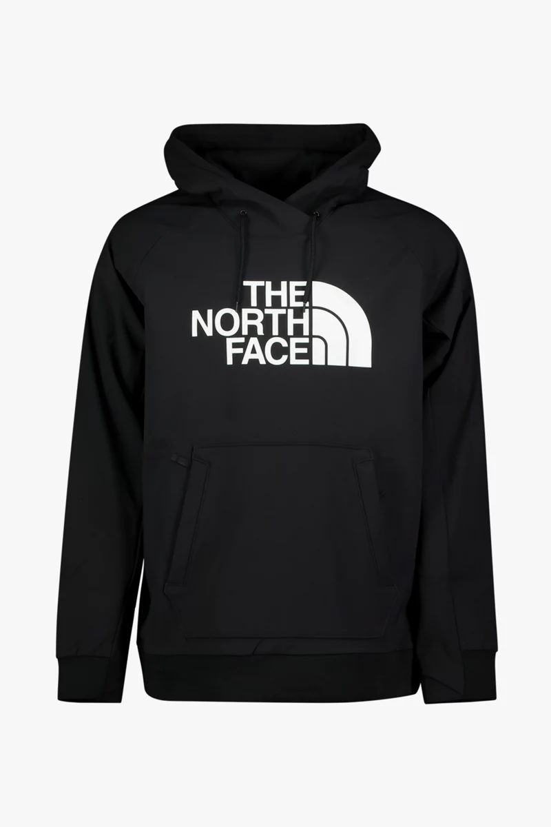 The North Face Tekno Logo Herren Hoodie
