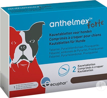 Anthelmex Forte Infections Mixtes Nématodes Et Cestodes Chiens 2 Comprimés À Croquer