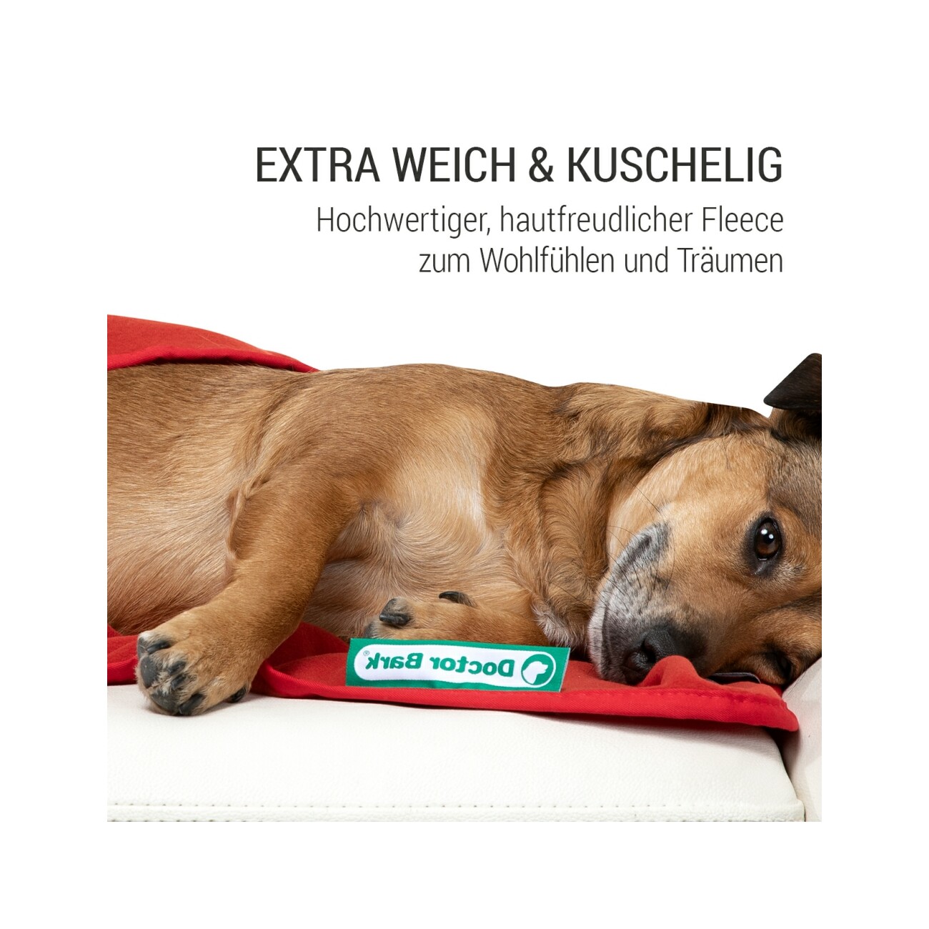 Doctor Bark Kuscheldecke Fleece rot M