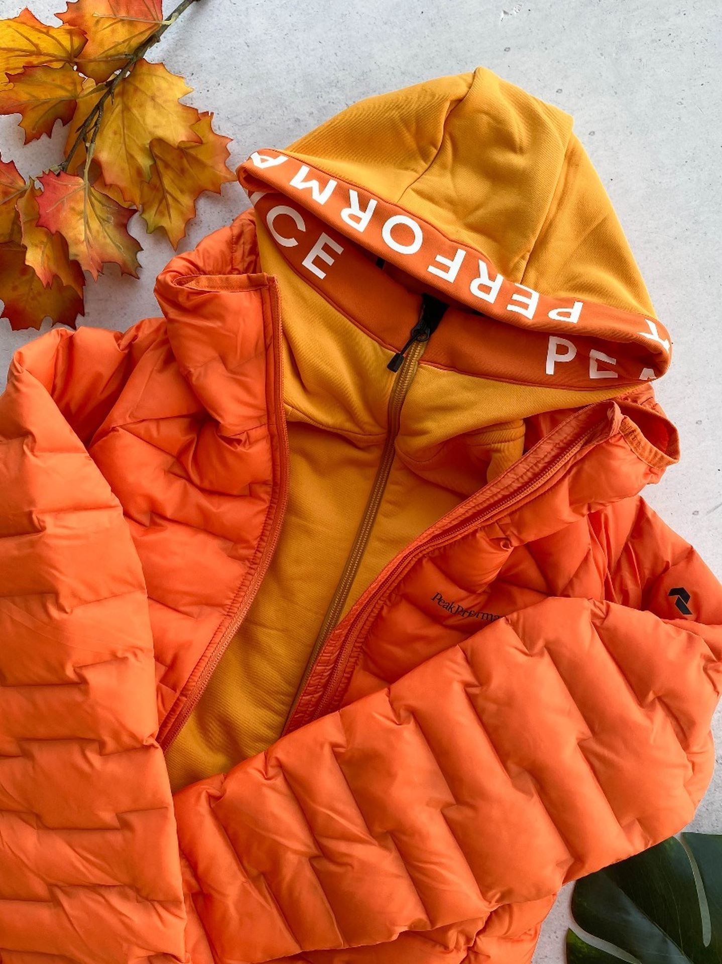 Argon Light Hood Jacket