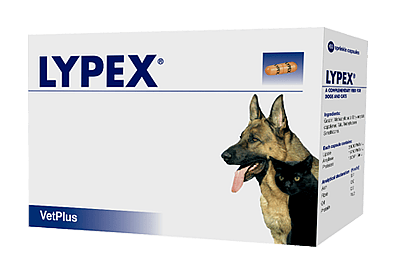 Vetplus Lypex Alvleesklier Hond Kat 60 capsules | 11016