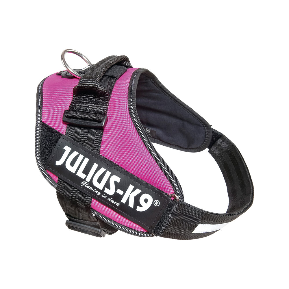Julius K9 IDC Powertuig