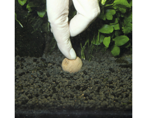 JBL THE 7 BALLS (Aqua Fertilizer) 67g