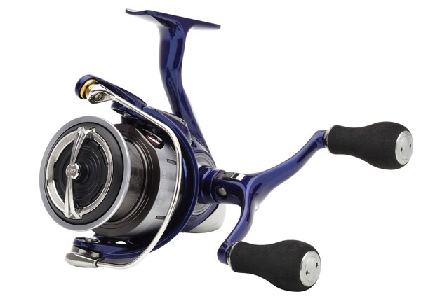 Daiwa 24 TDR Match & Feeder QD Molen