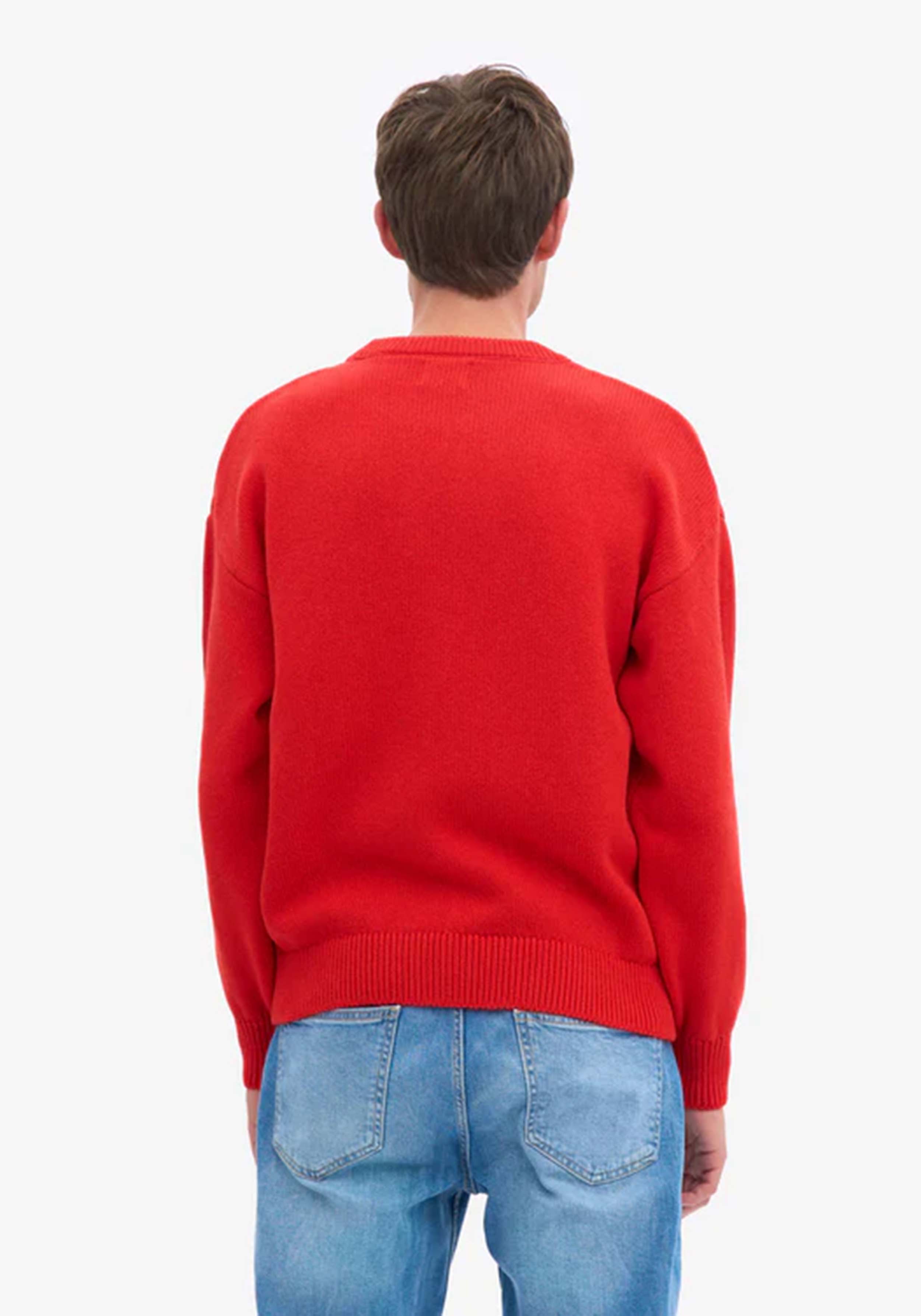 Colorful Standard Oversized Merino-Wollpullover Red Tangerine