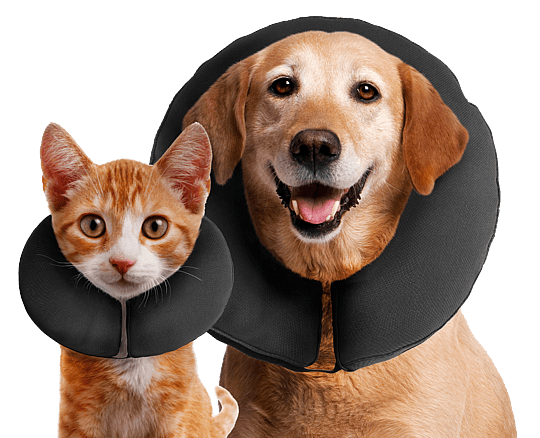 ZenCollar Kraag maat  XS
