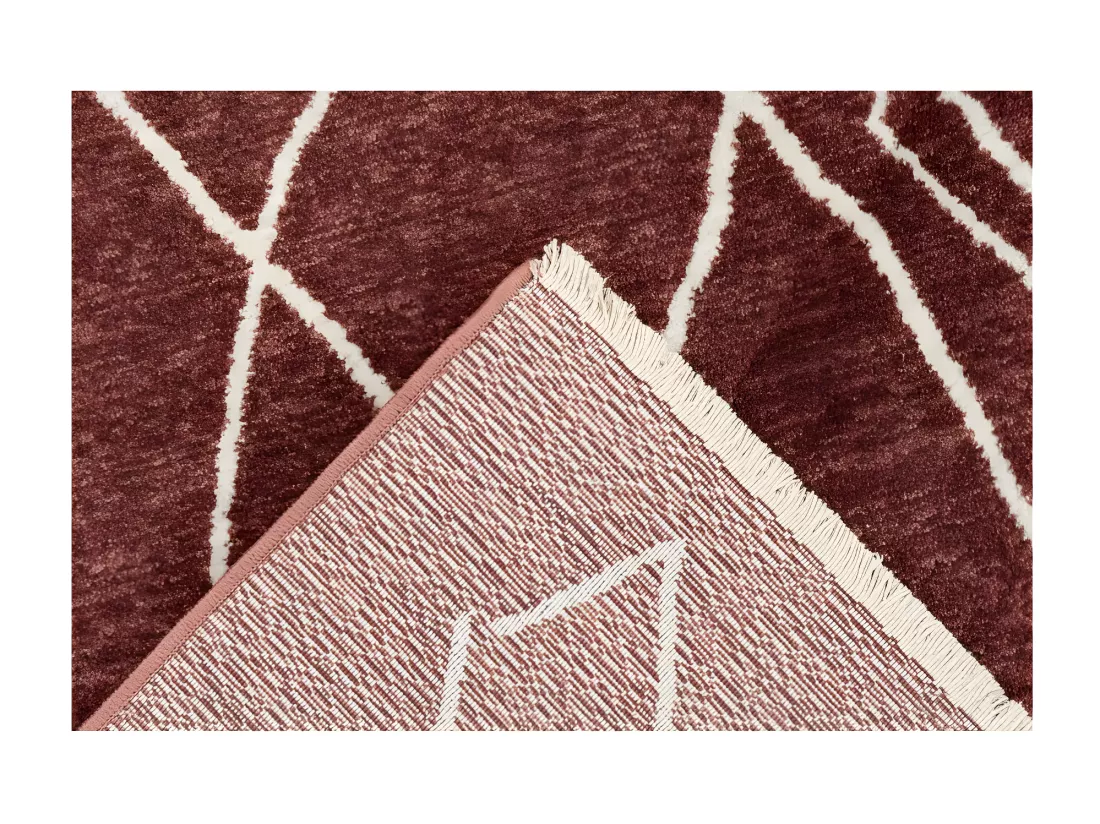 Tapis 170x120cm, design A205R coloris terracotta - Confort et élégance pour votre intérieur