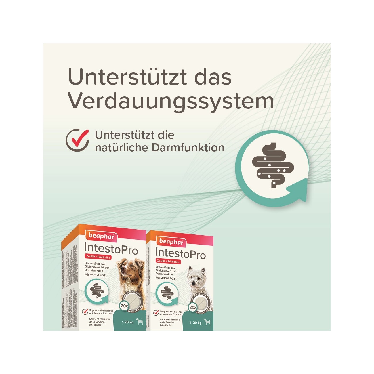 Beaphar IntestoPro Tabs für kleine Hunde 20 St.