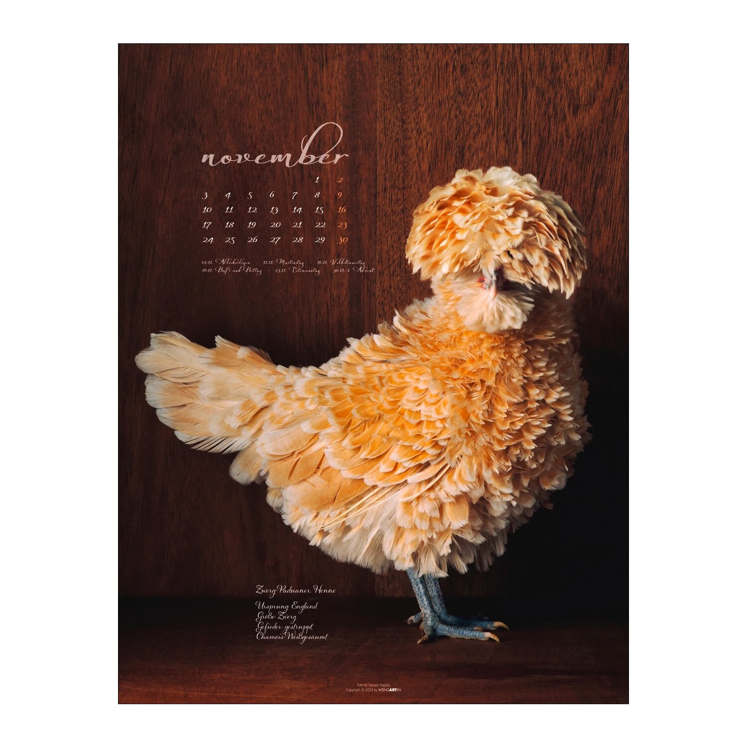 Kalender 2025 Pretty Chicks  - 2025