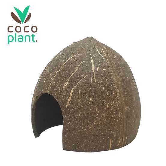 CocoPlanque