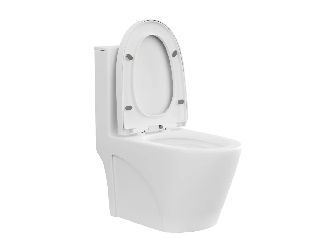 WC à poser blanc mat en céramique - Evacuation horizontale - NAGILAM