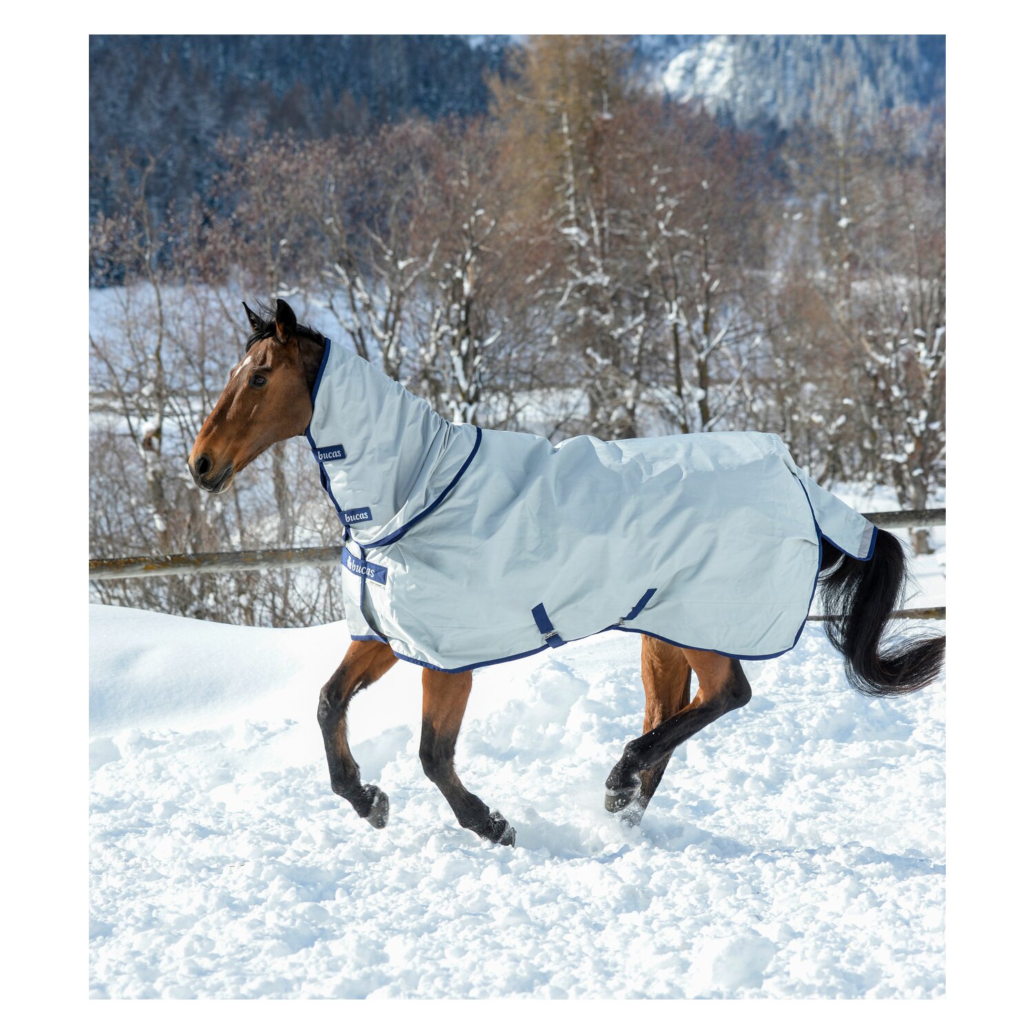 bucas Outdoordecke Power Turnout Classic Light - silber
