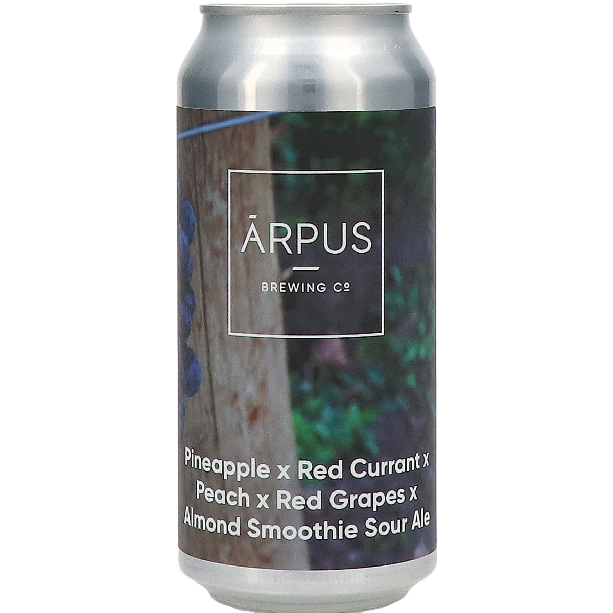 Arpus Pineapple X Red Currant X Peach X Red Grapes X Almond Ale 44 cl