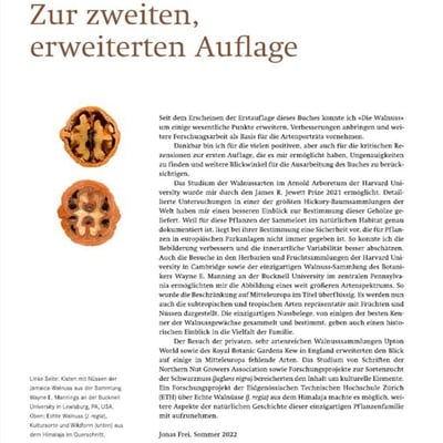 Die Walnuss