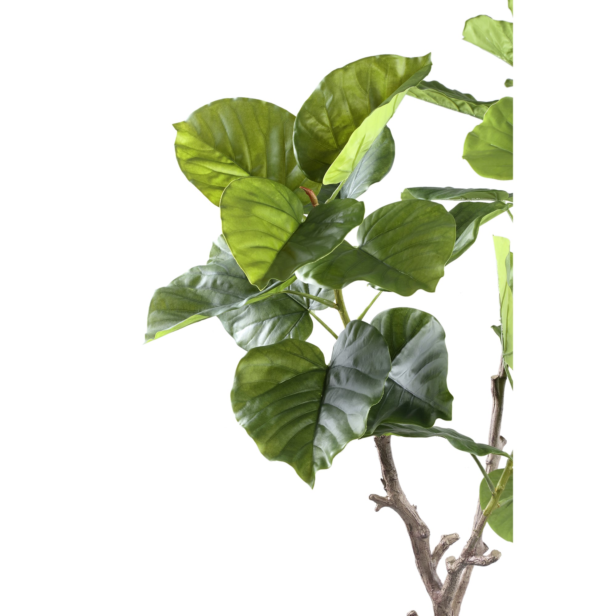 PTMD - Kunstplant Tree - Groen - 94x75x122cm