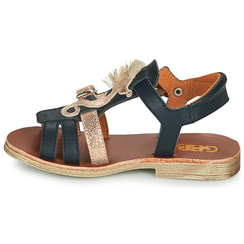 GBB - PALOMA - Marine
