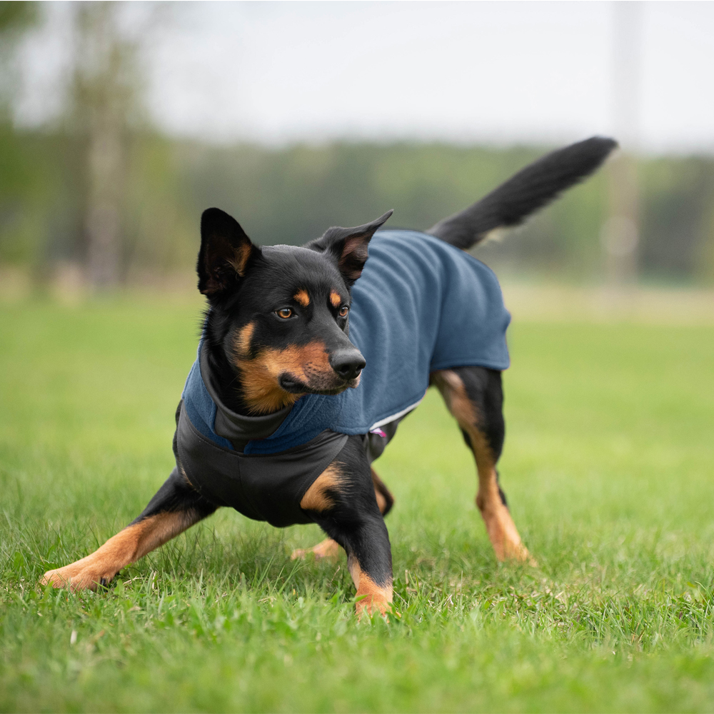 Pomppa Jumppa