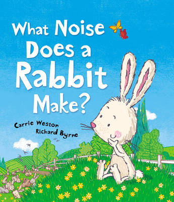 What Noise Does a Rabbit Make (Hardback)