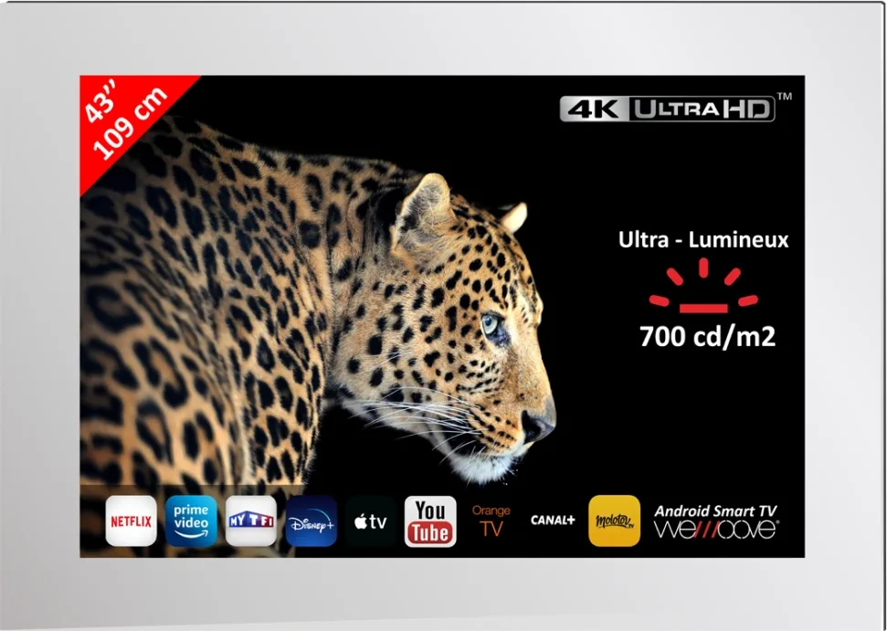 Wemoove WM-SFMTV435UHDSMART_A11 TV d'extérieur